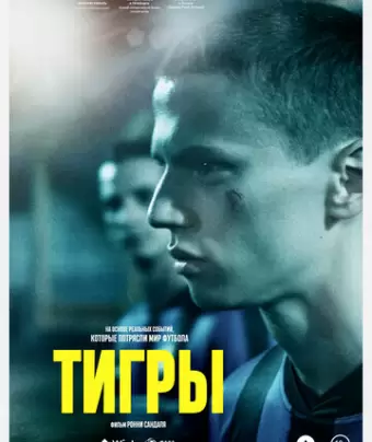 Тигры / Tigers