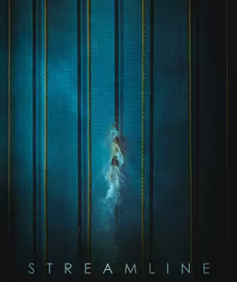  Поток / Streamline