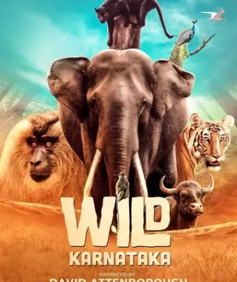 Дикая Карнатака / Wild Karnataka