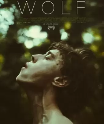 Волк / Wolf