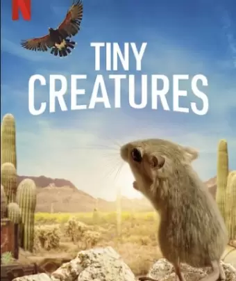 Крошечные существа / Tiny Creatures