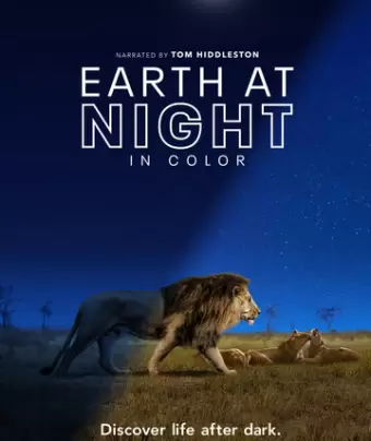 Земля ночью в цвете / Earth at Night in Color