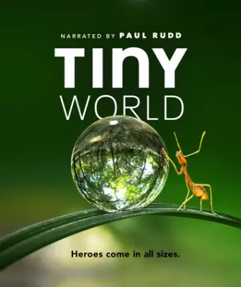 Крошечный мир / Tiny World