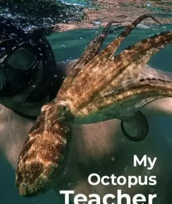 Мой учитель-осьминог / My Octopus Teacher