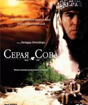 Серая сова / Grey Owl