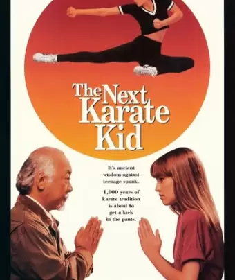 Парень каратист 4 / The Next Karate Kid