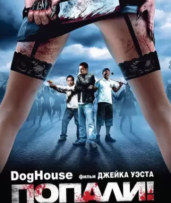 Конура / Doghouse