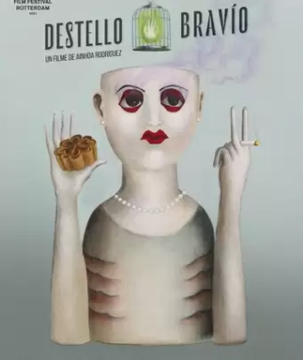 Яркая вспышка / Destello Bravío