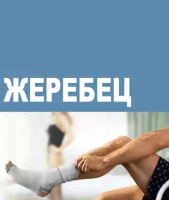 Жеребец / Hung