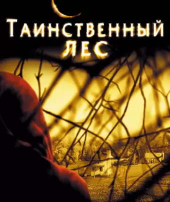 Таинственный лес / The Village