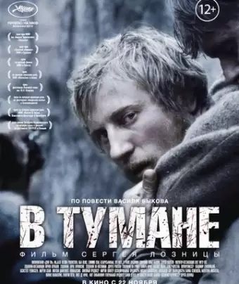 В тумане