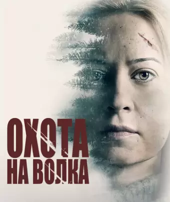 Серенький волчок / Hunter Hunter