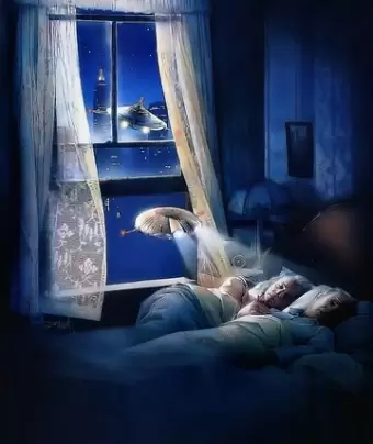 Батарейки не прилагаются / *batteries not included