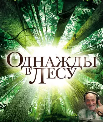 Однажды в лесу / Once in the Forest