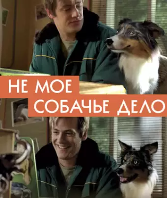 Не моё собачье дело