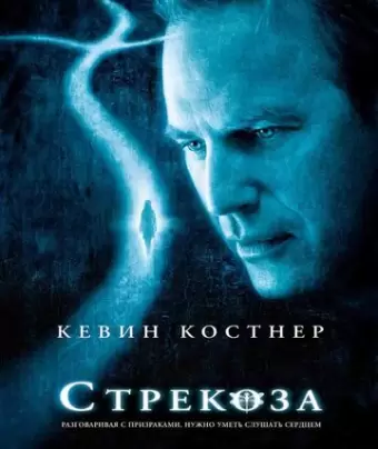 Стрекоза / Dragonfly