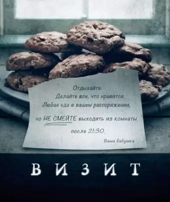Визит / The Visit