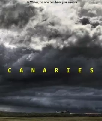 Канарейки / Canaries