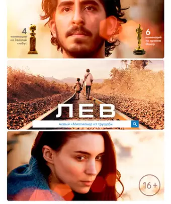 Лев / Lion
