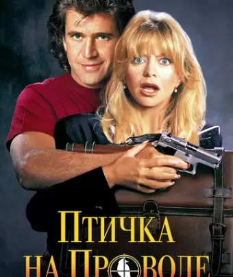 Птичка на проводе / Bird on a Wire