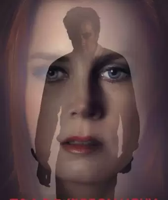 Под покровом ночи / Nocturnal Animals