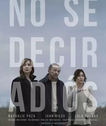 Не могу сказать прощай / No sé decir adiós