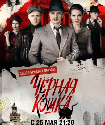 Чёрная кошка