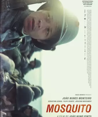 Москит / Mosquito