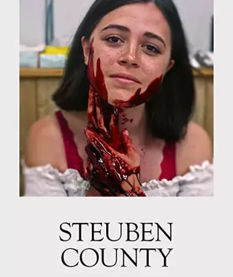 Округ Стюбен / Steuben County