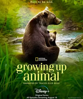 Взрослеющее животное / Growing Up Animal