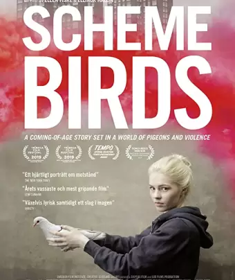Птички Предместья / Scheme Birds