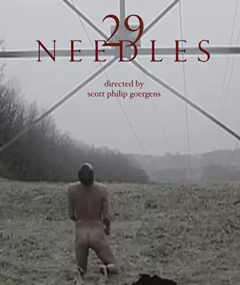 29 игл / 29 Needles