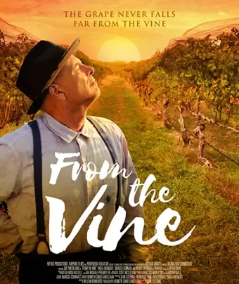 Лоза винограда / From the Vine