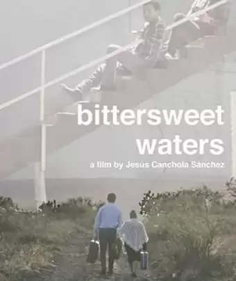 Горько-сладкие воды / Bittersweet Waters
