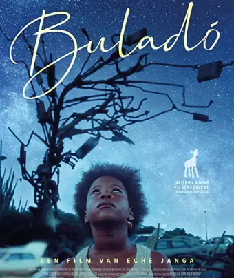 Летучая рыба / Buladó