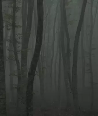 Убежище 2: ледяная тропа / Katafigio II: The Ice Path