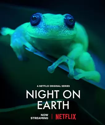 Ночь на Земле / Night on Earth