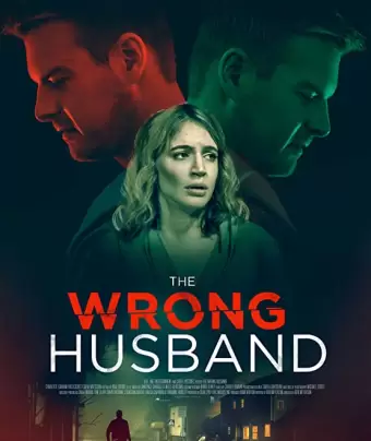 Тайный близнец моего мужа / The Wrong Husband