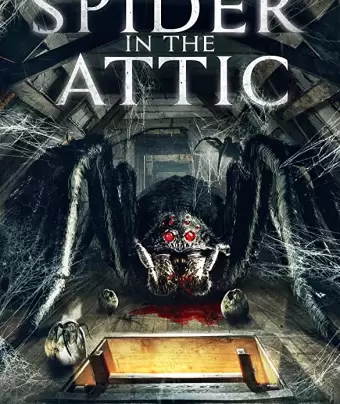 Паук на чердаке / Spider from the Attic
