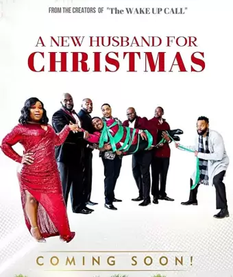 Новый муж на Рождество / A New Husband for Christmas