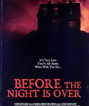 Пока не кончилась ночь / Before the Night Is Over