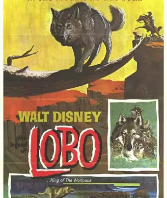 Легенда о Лобо / The Legend of Lobo