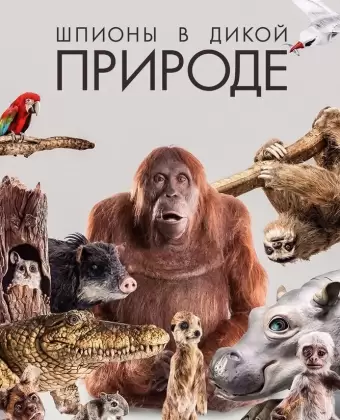 Шпионы в дикой природе / Spy in the Wild