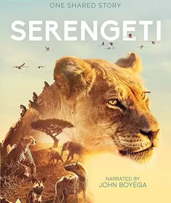 Серенгети / Serengeti
