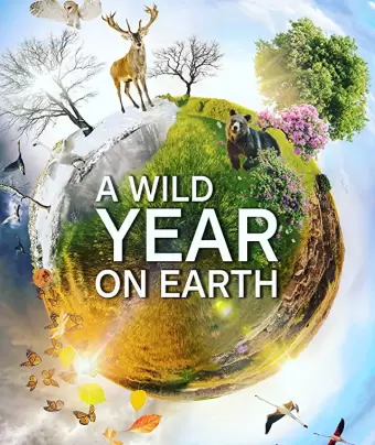Дикий год на Земле / A Wild Year on Earth