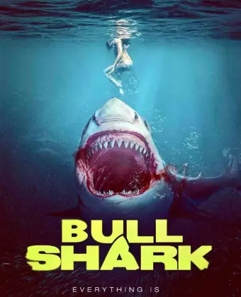 Акула бык / Bull Shark