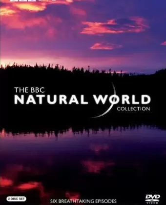 BBC: Живой мир / Natural World