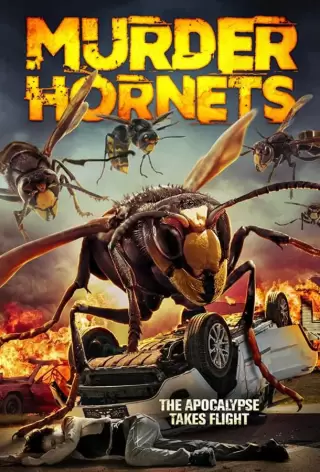 Шершни-убийцы / Angry Asian Murder Hornets