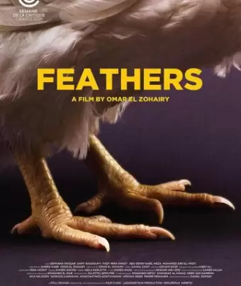 Перья / Feathers