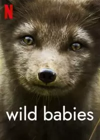 Детки не в клетке / Wild Babies